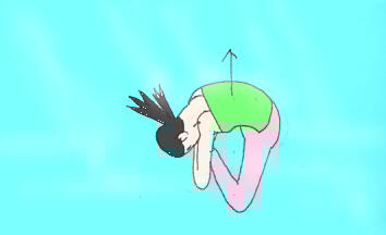 バッダコーナアサナ、合蹠前屈２