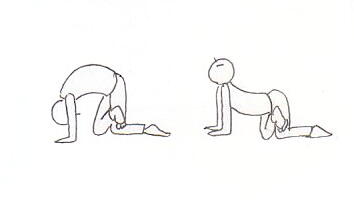 半蓮華でネコのポーズ（ヨガポーズ）