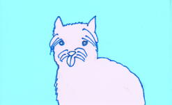 ケアーンテリア