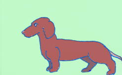 ダックスフンド