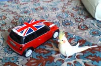 ラジコンの大きさ