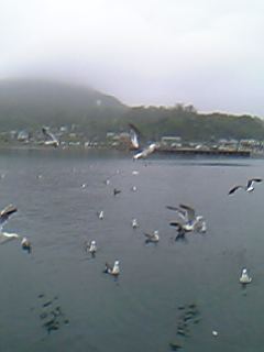 otaru5