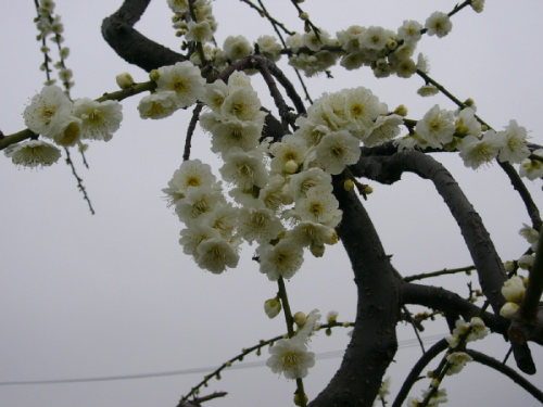 P1010894.JPG