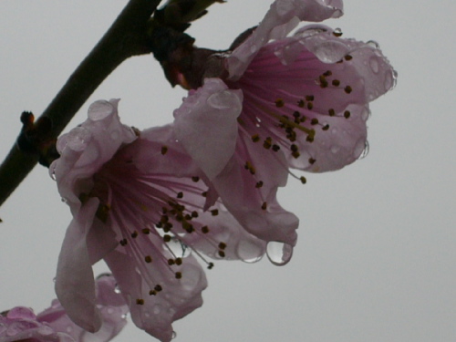 P1020428.JPG