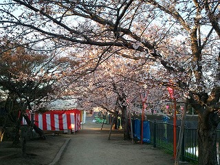 2011-04-04 06.19.01.jpg