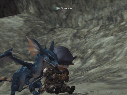 ＭＡＸと頑張ってますｗ