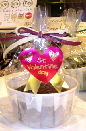 metromuffins 4687__.JPG