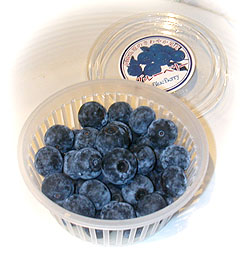 metromuffins 5387s.jpg