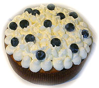 metromuffins 5389ss.jpg