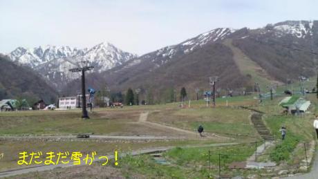 20090504　アルプスの山々.jpg