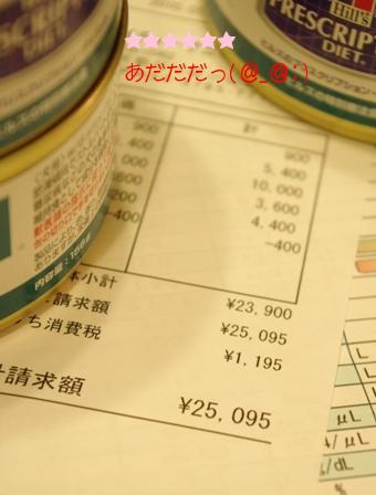 20100202 領収書.jpg