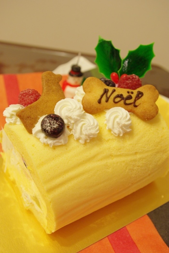 20101226 わんこケーキ.jpg
