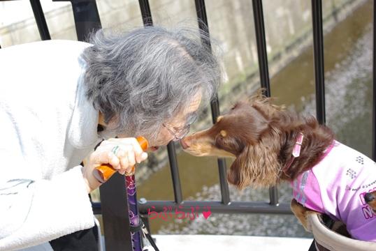 20100411 おばーちゃまと風太.jpg