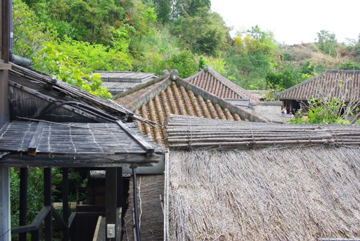 20110307 大家　屋根.jpg