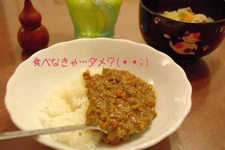 20090628 晩御飯.jpg