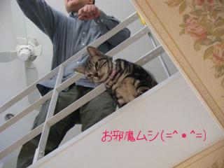 ちょび　チェック中