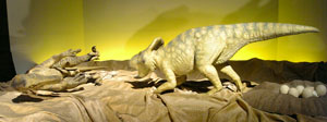 20070826Velociraptor_protoceratops_r