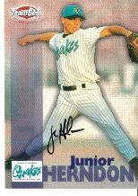 JUNIOR HERNDON