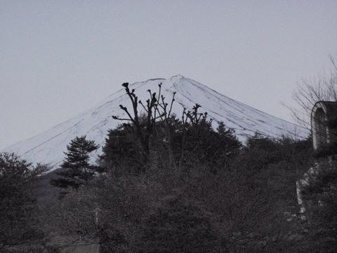 素敵な富士山.jpg