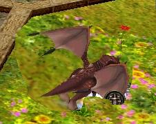 ドラゴン５０歳