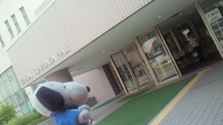 2010-07-26 17:37:47