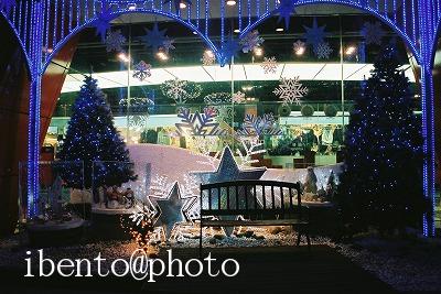 109東大門のDOTAのクリスマス