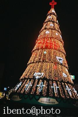 90市庁前のクリスマスツリー