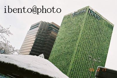 57ﾋﾞﾙの飾り