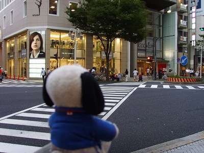名古屋繁華街歩くスヌ1