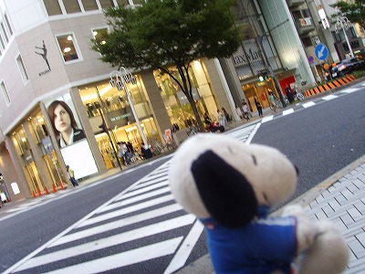 名古屋繁華街歩くスヌ2