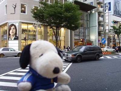 名古屋繁華街歩くスヌ4