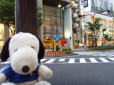 名古屋繁華街歩くスヌ5