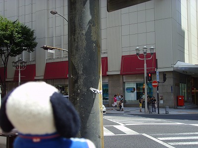 この場所でカメラをかかえて。