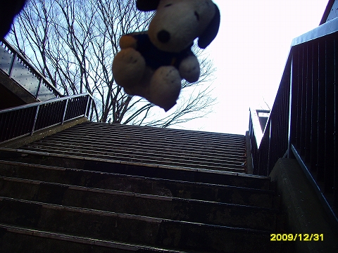 代々木公園から1