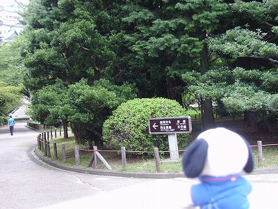 ここでカメラをかかえる先は名古屋城。
