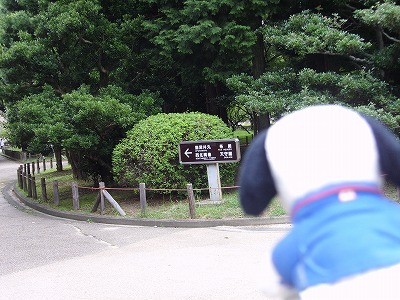 ここでカメラをかかえて撮影！