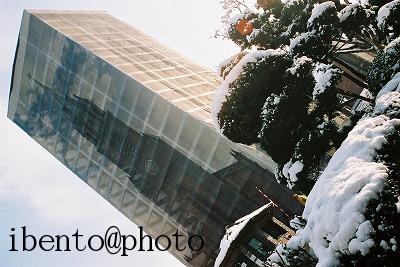 124雪の明洞聖堂 工事中のカーテン