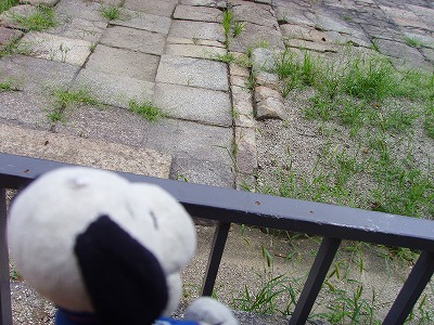 こんな感じの場所でも。