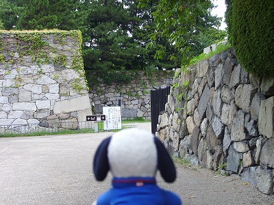 ここで歩き出す！1