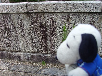 この場所からカメラをかかえて