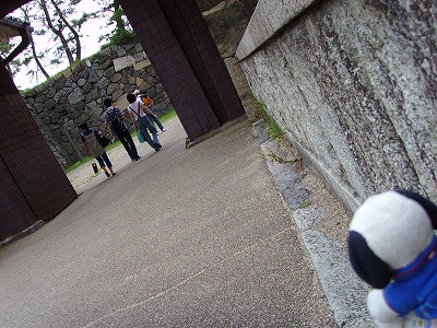 ここから見ると