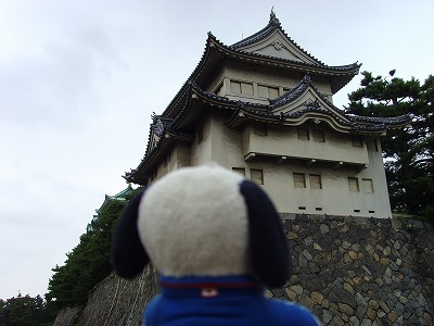 名古屋城を見て見て