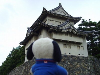 名古屋城を見て？