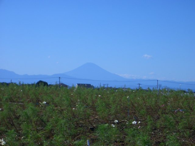 CIMG2362.jpg