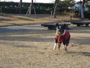 DSC04648.JPG