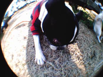 IMAG7747.JPG