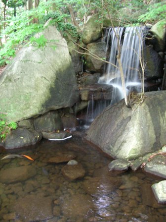 DSCN2004.JPG