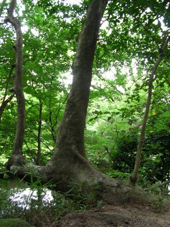 DSCN2007.JPG