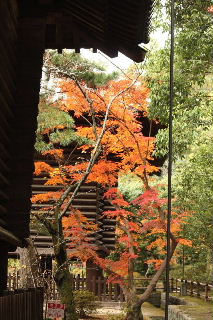 唐招提寺