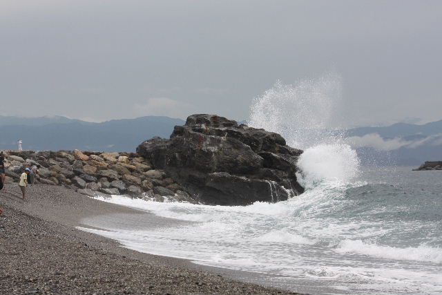 桂浜左